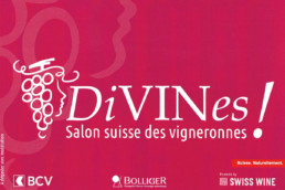 DiVINes - Salon suisse des vigneronnes - 1 et 2 novembre 2024 - Nous artisanes du vin