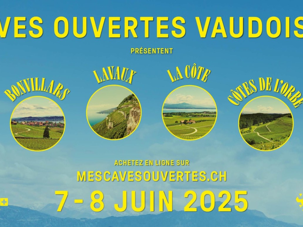 Caves ouvertes vaud 2025 - Nous Artisanes du Vin - Association vigneronnes suisse