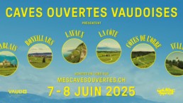 Caves ouvertes vaud 2025 - Nous Artisanes du Vin - Association vigneronnes suisse