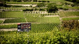 Caves ouvertes valais 2025 - Nous Artisanes du Vin - Association vigneronnes suisse