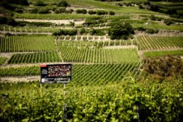 Caves ouvertes valais 2025 - Nous Artisanes du Vin - Association vigneronnes suisse