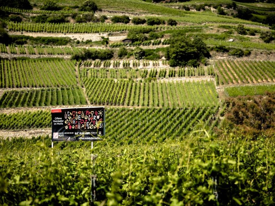 Caves ouvertes valais 2025 - Nous Artisanes du Vin - Association vigneronnes suisse